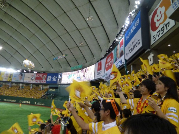15年プロ野球観戦記 6 29 月 Sh対l 東京ドーム 東京鷹の祭典 野球観戦と飛行機と海外旅行とか 15年プロ野球観戦記 6 29 月 Sh対l 東京ドーム 東京鷹の祭典 野球観戦と飛行機と海外旅行とか