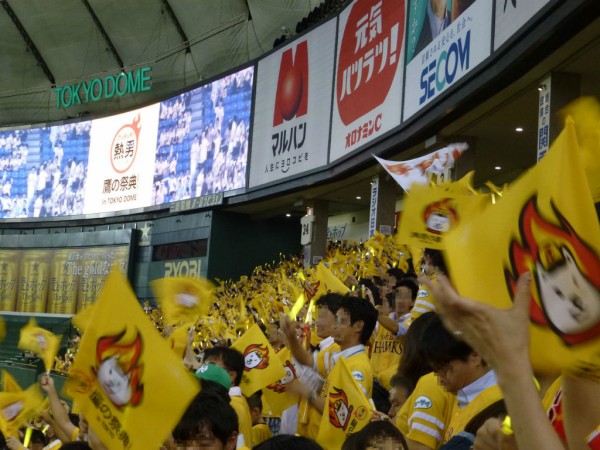 15年プロ野球観戦記 6 29 月 Sh対l 東京ドーム 東京鷹の祭典 野球観戦と飛行機と海外旅行とか 15年プロ野球観戦記 6 29 月 Sh対l 東京ドーム 東京鷹の祭典 野球観戦と飛行機と海外旅行とか
