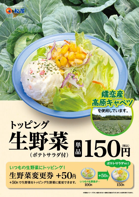 松屋 ポテトサラダが付いた トッピング生野菜 発売 食べ喰うチャンネル