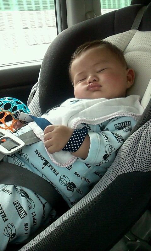 赤ちゃんとの外出について 飛来さんとチビ