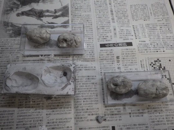 グランフロント展示用オオアリ巣のつくりかた 研究室日記