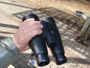 Zeiss Victory 8x56 T*FL : 賞月観星