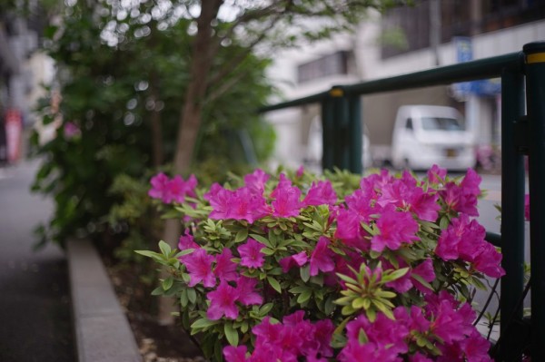 Yashica YASHINON 45mm F1.8 Eマウント 改造品 Yashica YASHINON 45mm