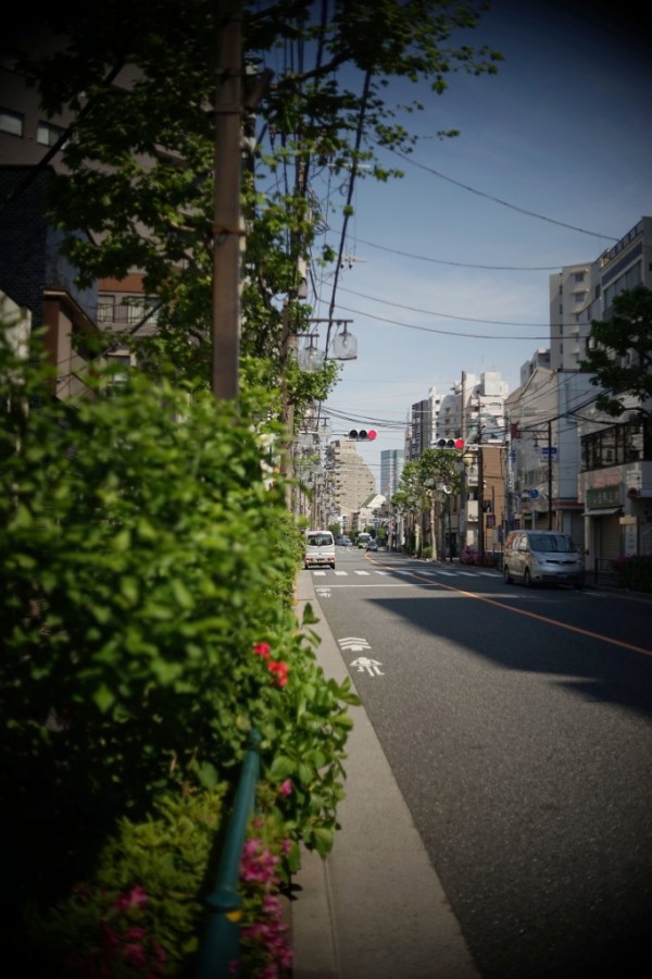 ボシュロム SUPER BALTAR 35mm F2 （Leica-Lマウント改造） : オールド