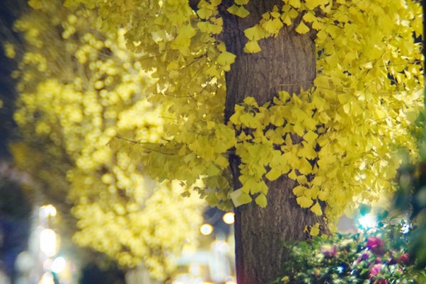 ★超希少！赤外レンズ2点★ZENIT IR 58 100mm F1.5 M42 ☆超希少！赤外レンズ2点☆ZENIT IR 58 100mm F1.5 M42 - メルカリ