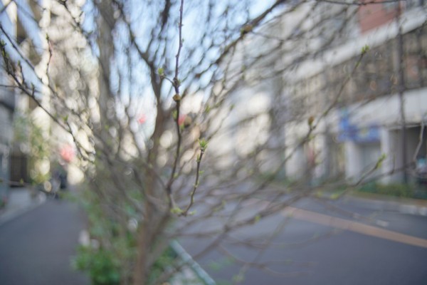 三協光機 W-KOMURA- 35mm F2.5 （M42マウント） : オールドレンズの