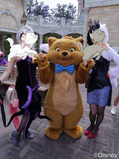 仮装インレポ グリーティング おしゃれキャット おじさん 仮装インレポ グリーティング おしゃれキャット おじさん