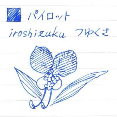 パイロット 万年筆ボトルインク 色彩雫/iroshizuku 露草（ツユクサ