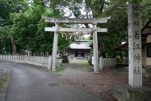 手水舎に浮かぶ紫陽花が人気 岐阜市にある若江神社 やまさんがくる