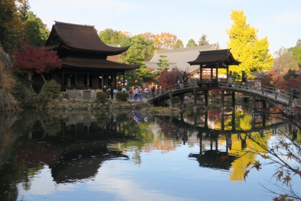 虎渓山永保寺の紅葉 岐阜県多治見市 やまさんがくる