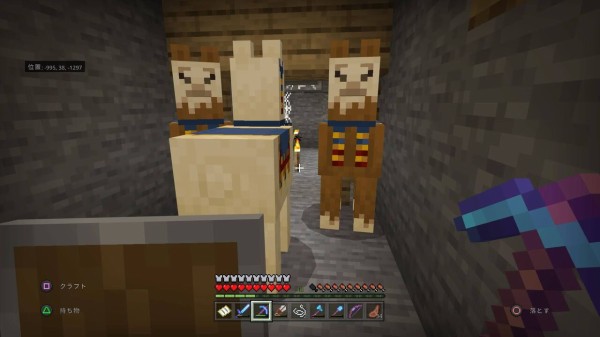 マインクラフトメモ スクリーンショットたどってスポナー部屋にたどりついた Ps4統合版 すなクラ