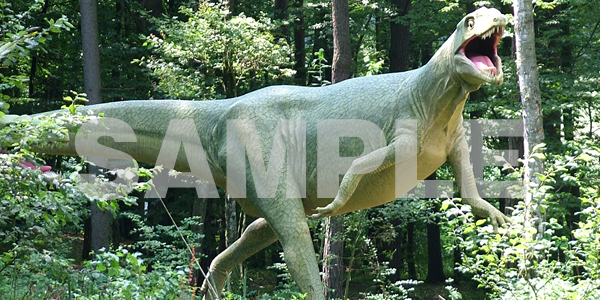 リアルな恐竜や怪獣の写真フリー素材 迫力満点の恐竜いっぱいの無料素材 フリー素材まとめ