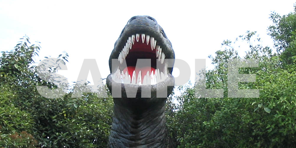 リアルな恐竜や怪獣の写真フリー素材 迫力満点の恐竜いっぱいの無料素材 フリー素材まとめ