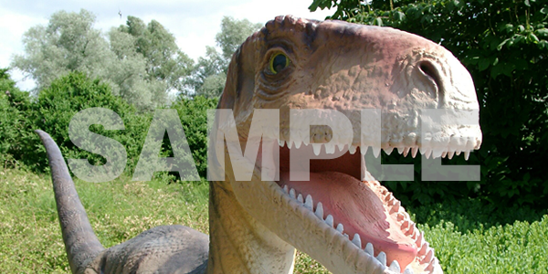 リアルな恐竜や怪獣の写真フリー素材 迫力満点の恐竜いっぱいの無料素材 フリー素材まとめ
