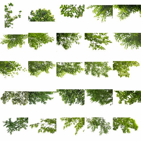 前景樹木素材無料 建築パースに使える 無料素材 人物 樹木 シルエット Cad Sketchup 前景樹木素材無料 建築パースに使える 無料素材 人物 樹木 シルエット Cad Sketchup