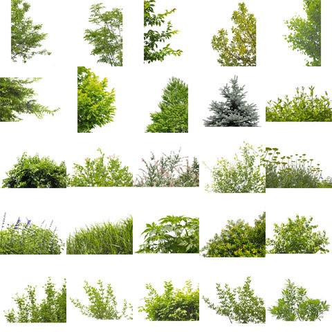 前景用フレーム素材無料 低木などの植物 無料素材 人物 樹木 シルエット Cad Sketchup