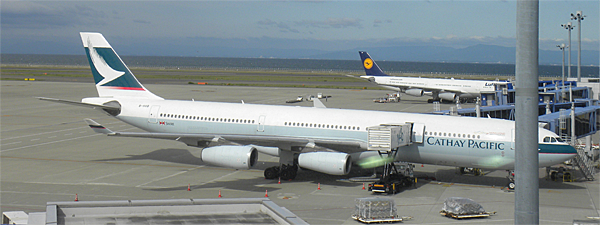 キャセイパシフィック航空で行く超弾丸香港ツアー New フリーバードスタッフの何でも旅行記part 3