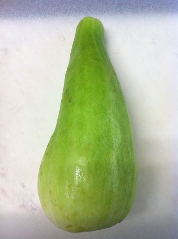 はぐらうりを使って料理をしてみた フレッシュオーワダ