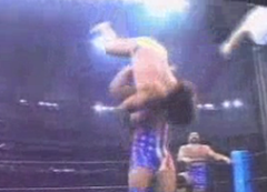 人級 プロレス最強の必殺技名づけてssd スタイナースクリュードライバー 私パソって言います