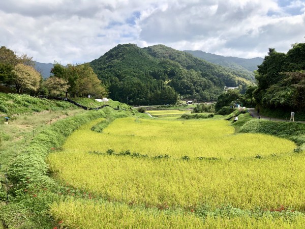 3 さくっと奈良散策 奈良県明日香村 自称名犬のブログ