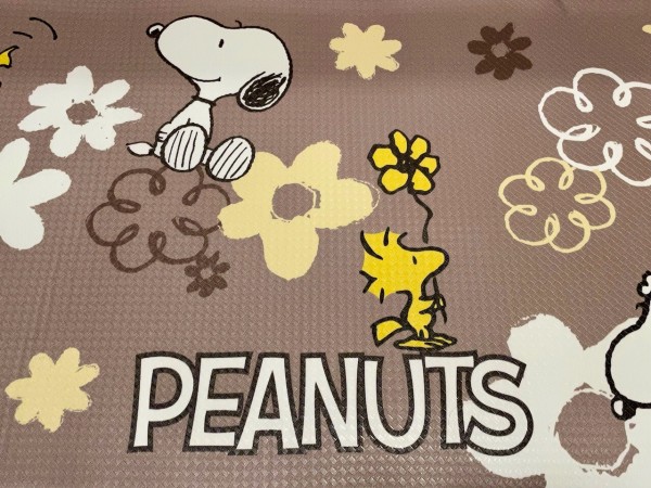 スヌーピーのキッチンマットを購入 自称名犬のブログ