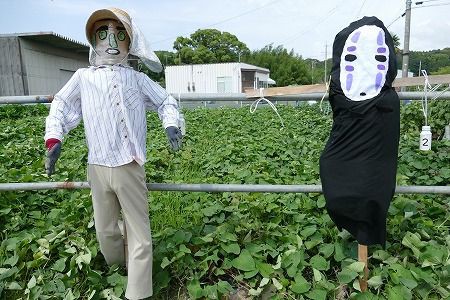 案山子 Askar FMA135による田奈の案山子たち【追々記】2025/08/22 : 中川光学