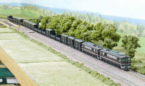 マイクロエースDF50(茶) 長野機関区 重連 : 鉄道情景草案
