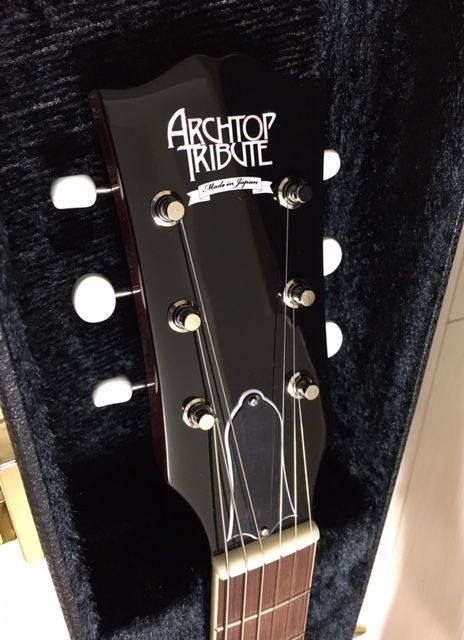 ARCHTOP TRiBUTE AT130 ステンレス フレット 牛骨ナット交送料は無料 