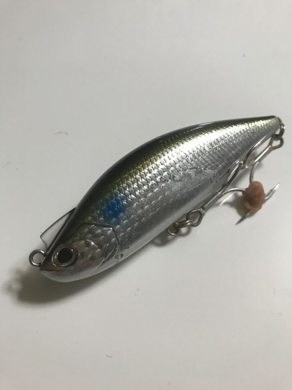 ダイワレイジーファッシャッド100S : 特攻隊長さんの釣行記