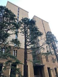 我が早稲田 早稲田での至福の一日 富士見三芳稲門会ブログ