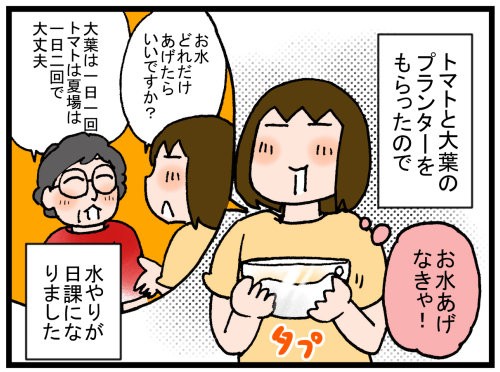 プランターでミニトマトと大葉を育てたら のんびり夫婦の日常 大阪から長野に移住しました