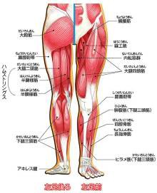 ボールに勢いを与える股関節の機能 ソフトテニス オンライン