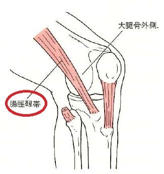 膝の痛みの原因 ソフトテニス オンライン