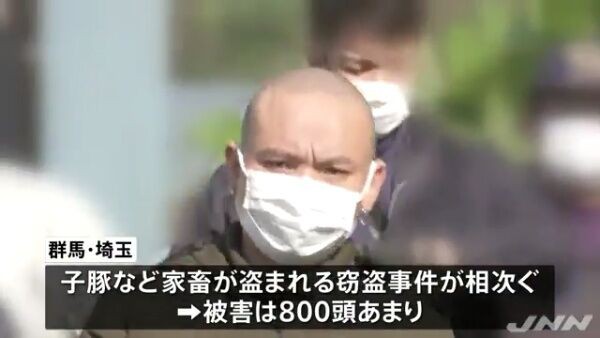 家畜 ベトナム人13人逮捕 群馬県などの豚840頭窃盗 床下から冷凍ニワトリ モデルガン 模造刀押収 World Music まとめチャンネル