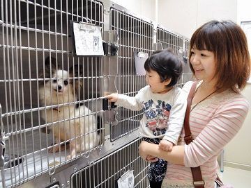 旭川動物愛護センター 13年度犬の殺処分ゼロ達成 Npo法人 福井犬 猫を救う会