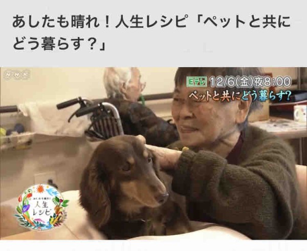ペットと共にどう暮らす 12月6日 金 午後8時から Eテレ Npo法人 福井犬 猫を救う会