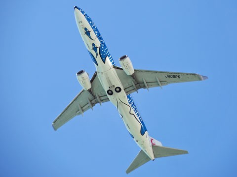 特別デザイン機 | JTA日本トランスオーシャン航空 - 航空機