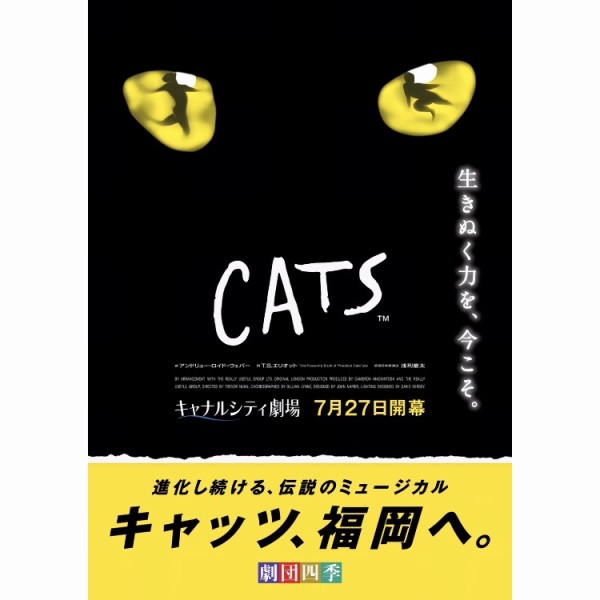 ロンドン公演 1995年 ミュージカル キャッツ CATS パンフレット - その他