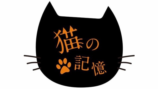 金子みゆ 映画 猫の記憶 DVD CD フォトブック 3点セットLinQ 早見優