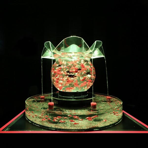アートアクアリウム展21 博多 金魚の祭 福岡レポート 大奥御殿スペシャル 大政奉還金魚大屏風など10作品以上 フクオカーノ 福岡 の情報サイト