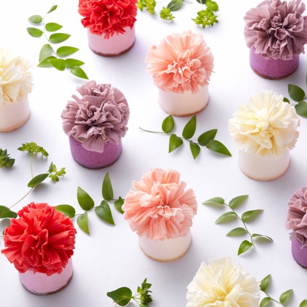 グランドハイアット福岡 母の日カーネーションケーキ 17 花言葉が違う4種類のグラデーションカラーの美しいケーキ フクオカーノ 福岡の情報サイト