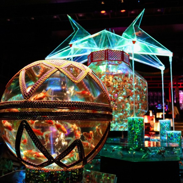 Jr博多シティ アートアクアリウム展18 の累計入場者数が10万人を突破 博多 金魚の祭とナイトアクアリウム開催中 フクオカーノ 福岡の情報サイト