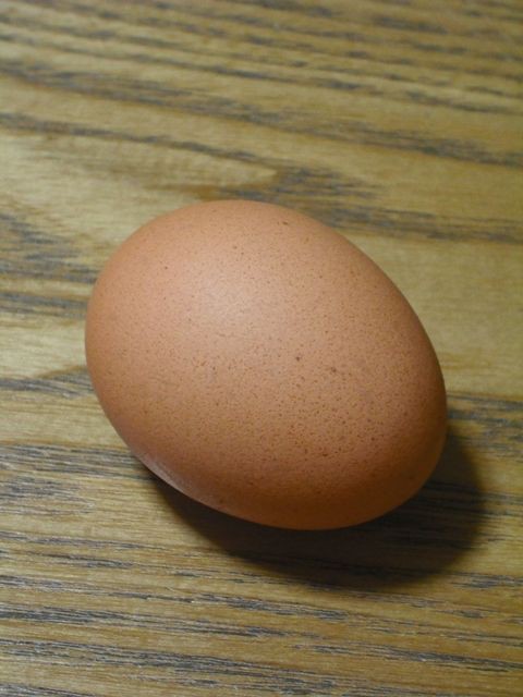 たまごのラベルを集めてみた 普及畜産チャンネル