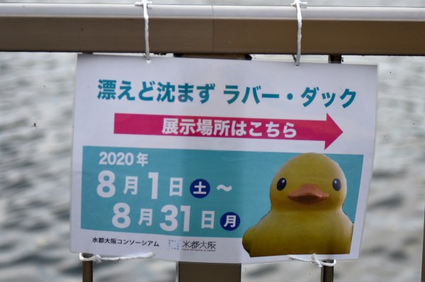 巨大アヒル「ラバー・ダック」が大阪に再登場！ 現地レポ 【2020年