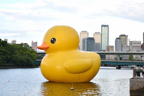 巨大アヒル「ラバー・ダック」が大阪に再登場！ 現地レポ 【2020年