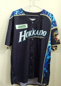 今年も歴代最高を更新！！ ファイターズ「北海道シリーズ WE