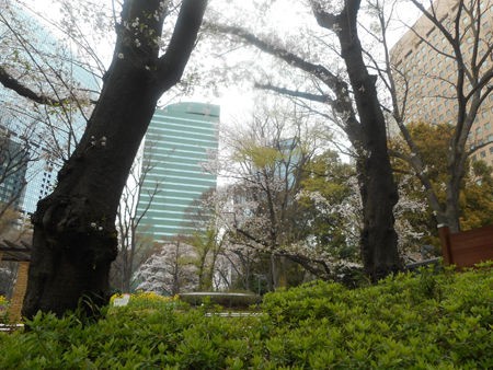 新宿中央公園 こんなとこいってみた