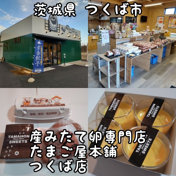 茨城県 つくば市 産みたて卵専門店たまご屋本舗 つくば店 毎日産みたてのたまご専門店 22年新店 ５ 大食いグルメなランチ