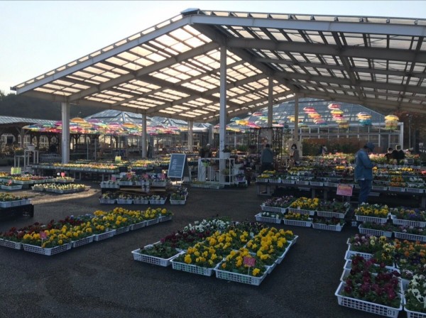 栃木県 鹿沼市 Bonsai Cafe お洒落な苔玉スイーツ 年新店 47 大食いグルメなランチ 栃木県 鹿沼市 Bonsai Cafe お洒落な苔玉スイーツ 年新店 47 大食いグルメなランチ