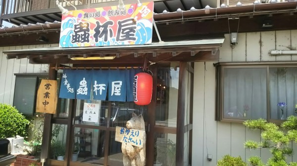 茨城県 つくば市 蟲杯屋 穴場な居酒屋さんのお刺身定食です 大食いグルメなランチ